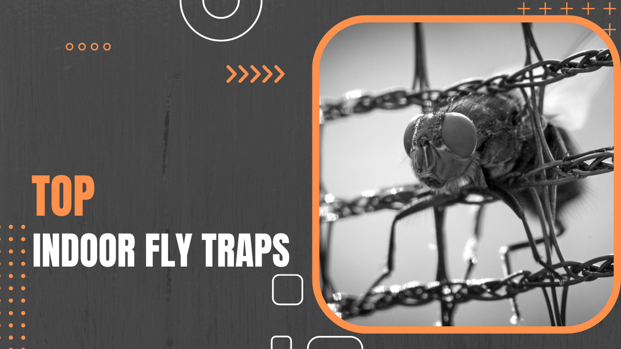Top Indoor Fly Traps