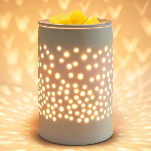 Bobolyn Ceramic Electric Wax Melt Warmer Candle Waxing Warmer Burner Melt Wax Cube Melter Fragrance Warmer