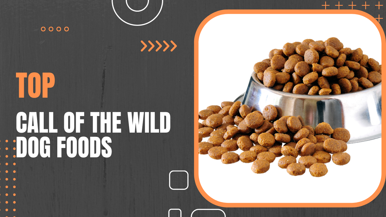 Top 09 Call Of The Wild Dog Foods